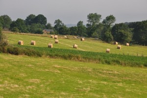 La campagne en Normandie...