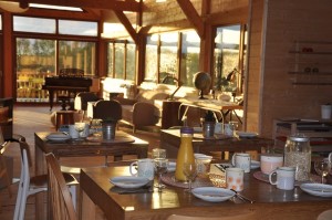 Petit dejeuner bio à l'arbre aux étoiles en Normandie