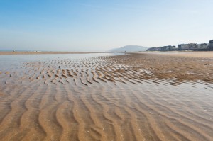 Les plages de Deauville-Trouville à 20 km, l'arbre aux étoiles est idéalement placé en Normandie pour l'organisation de vos stages et séminaires autour du bien-être et du développement personnel