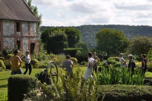 seance de qi gong en plein air