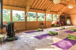 yoga vinyasa