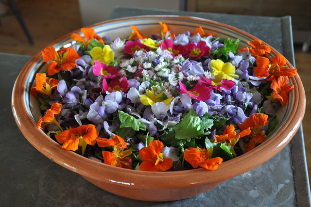 salade des fleurs du jardin