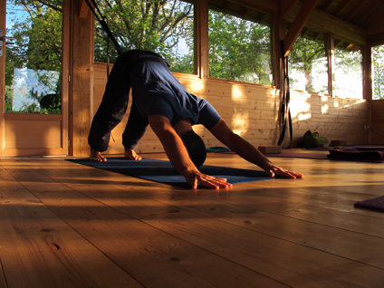 Yoga Vinyasa en automne avec Benoit le Gourrierec - 23 au 25 octobre 2015 - L'arbre aux étoiles