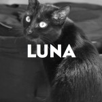 luna