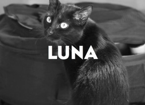 luna