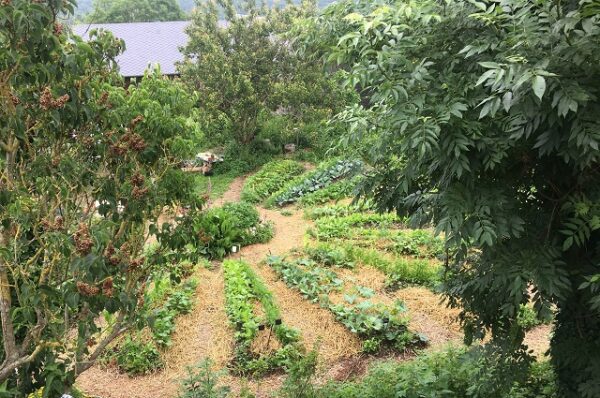 Permaculture, nutrition et Yoga