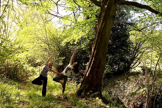 Arbre intérieur: Yoga, Nature et Créativité