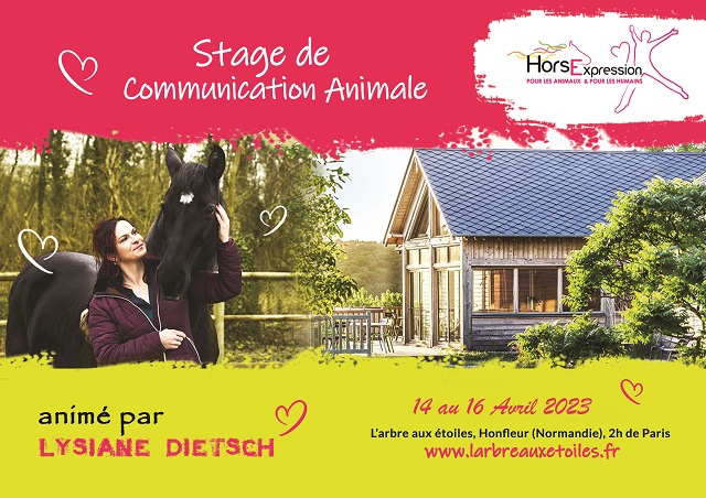 Communication animale
