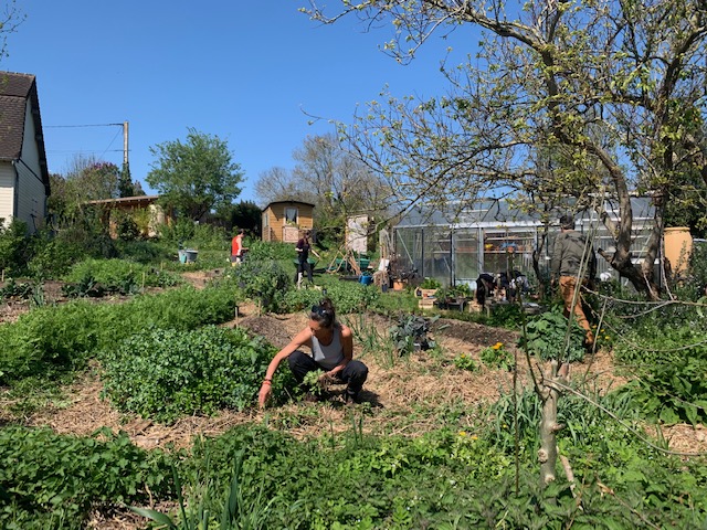 Du potager à la santé (avril 2024)