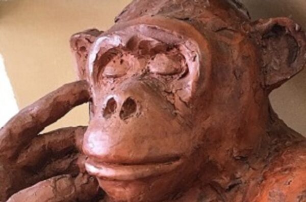 Atelier de modelage sculpture "Le monde animal sauvage"